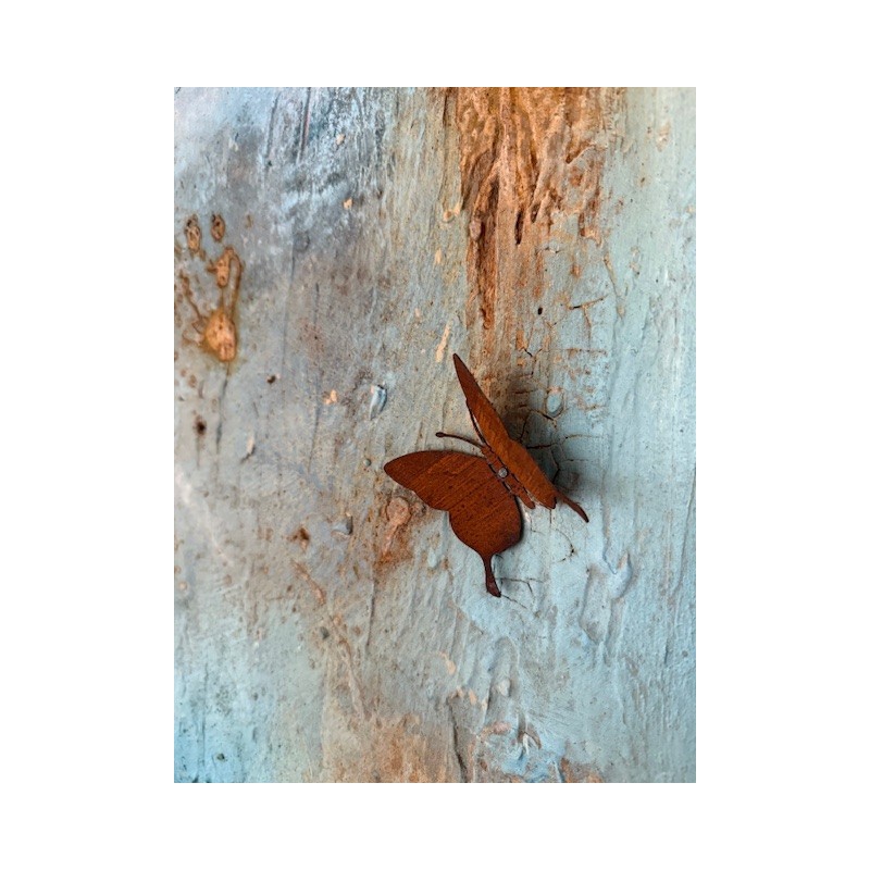 rostige Schmetterlinge rostige Schmetterlinge