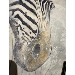 Zebras