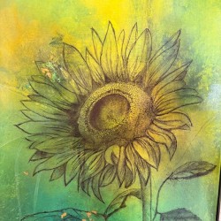 Sonneblume
