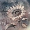 Sonnenblume 70