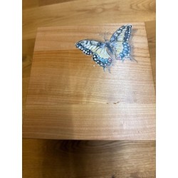 Urne / Schmetterling