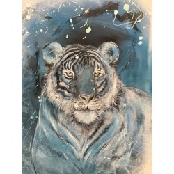 Bengal Tiger
